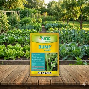 Thuốc Trừ Bệnh BUMP 650WP